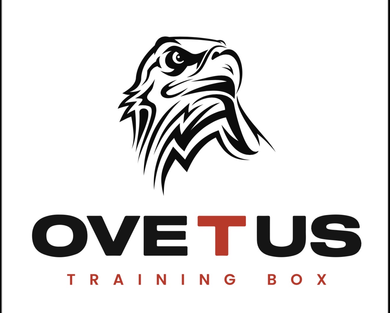 Logo de Ovetus Training Box